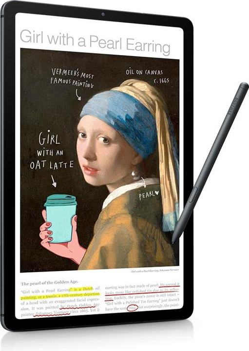 Immagine prodotto Samsung Galaxy Tab S6 Lite (2022) (4G, 10.40", 64 GB, Oxford Grey)