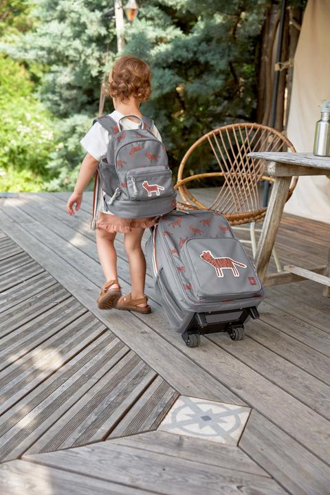 Actual product image Lässig Trolley (22 l, Hand luggage (up to 50 litres))