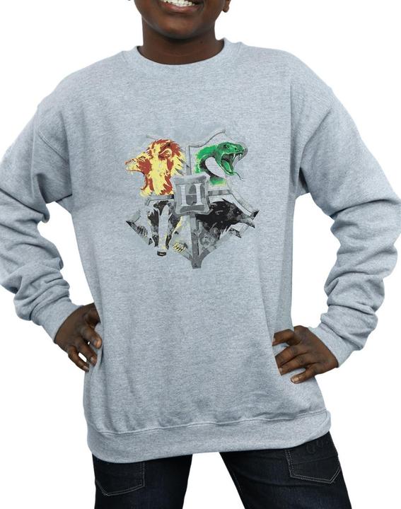Image du produit - Sweat HOGWARTS PAINTED CREST - Garçon (140, 146)