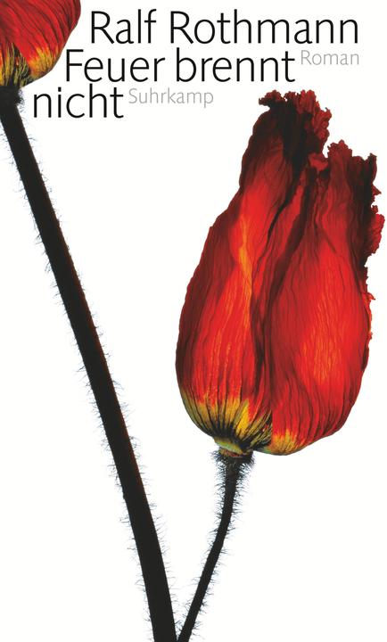 Produktbild Feuer brennt nicht (Deutsch, Ralf Rothmann, 2009)