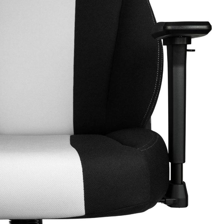 Actual product image Nitro Concepts E250 Gaming Chair