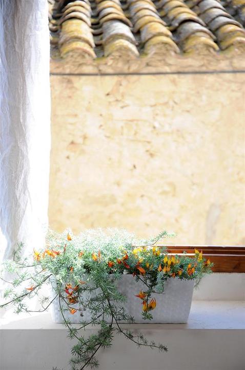Immagine prodotto Herstera Balconetta Naturale