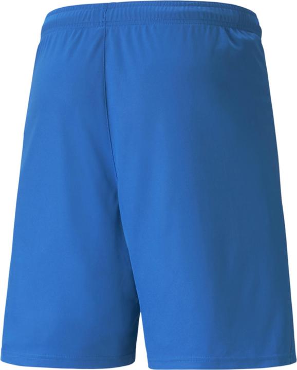 Actual product image Puma teamLIGA Shorts-704924 (L)