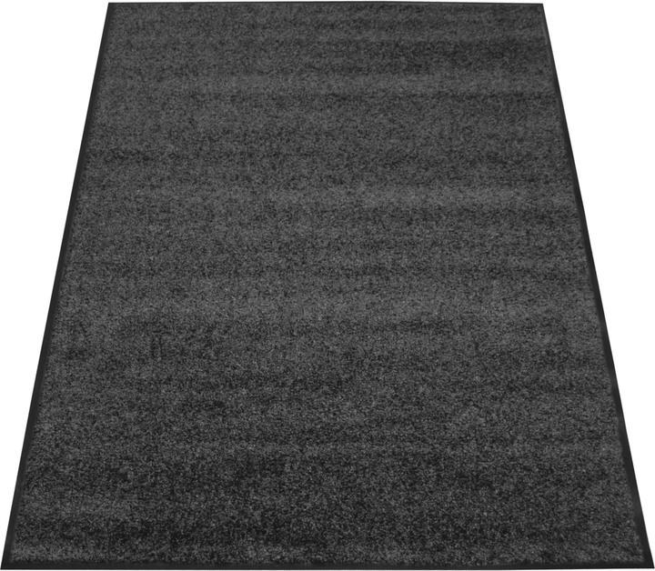 Immagine prodotto Miltex Tappeto antisporco EAZYCARE COLOR, 1200 x 1800 mm, grigio (120 x 180 cm)