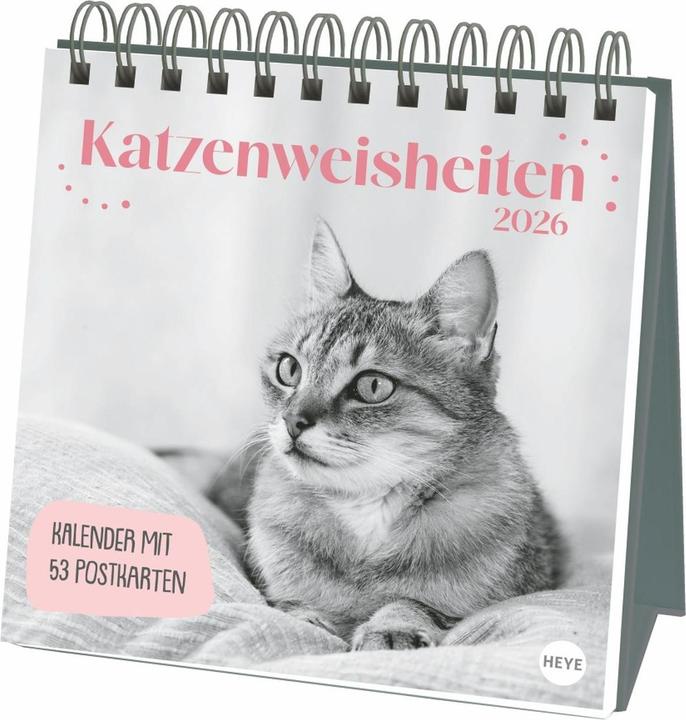 Immagine prodotto Katzen Weisheiten Premium-Postkartenkalender 2026 (Copertina rigida, Tedesco)