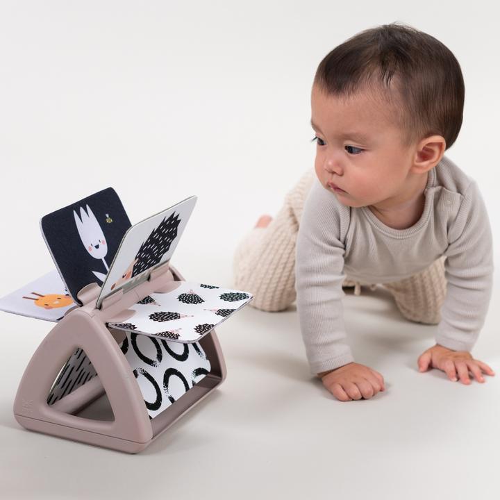 Immagine prodotto Taf Toys Black & White (Tedesco, Francese, Italiano, Inglese, Svizzero-tedesco)