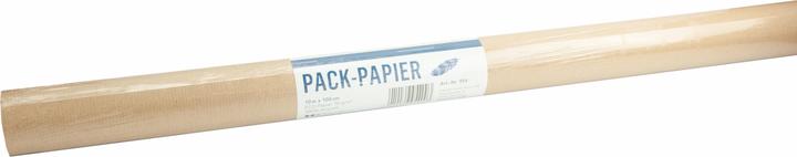 Image du produit Staufen Papier d'emballage 100cmx10M Natr