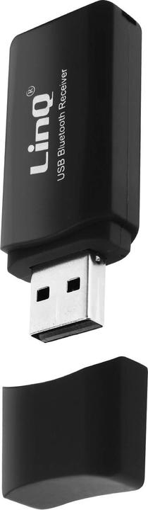 Actual product image LinQ USB audio receiver + jack output (Receiver)