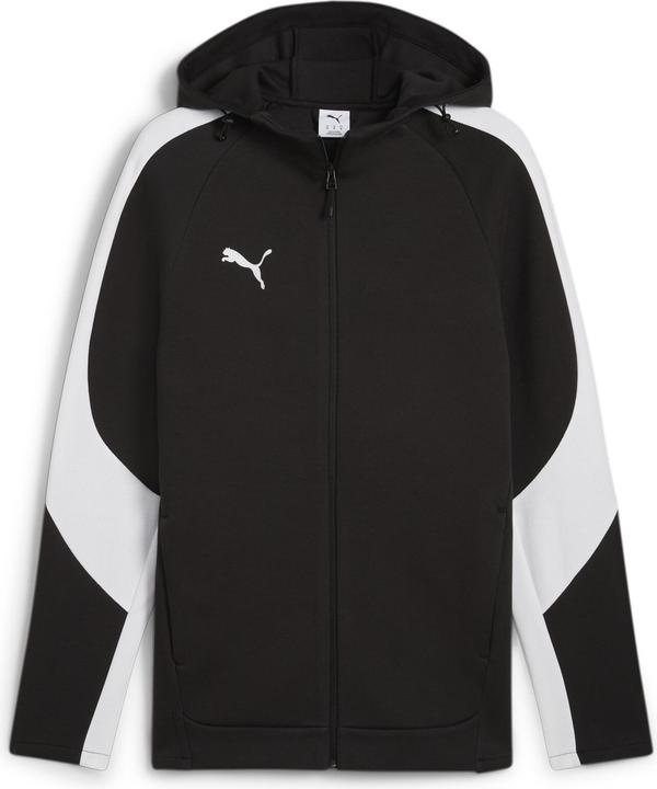 Puma teamEVOSTRIPE Hooded Jacket