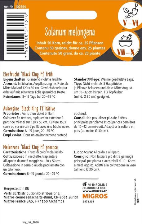 Image du produit Do it + Garden Aubergine 'Black King F1' hâtive 50k (Graines de légumes)