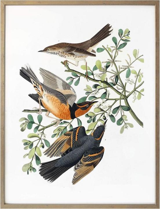 Produktbild Trenddeko Drei Drosseln (50 x 60 cm)