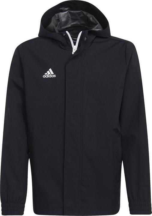 adidas Entrada 22 (152)