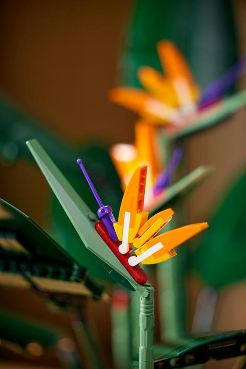 Produktbild LEGO Bird of Paradise (10289, LEGO Seltene Sets)
