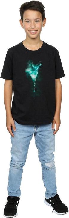 Immagine prodotto Maglietta in cotone da ragazzo Patronus Stag (116)