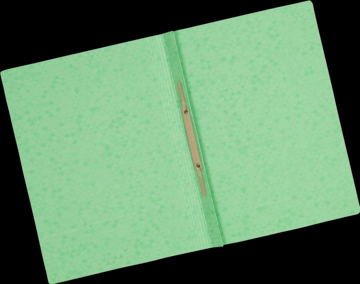 Actual product image Oxford TOP FILE+ loose-leaf binder, A4 (A4, 1 x)