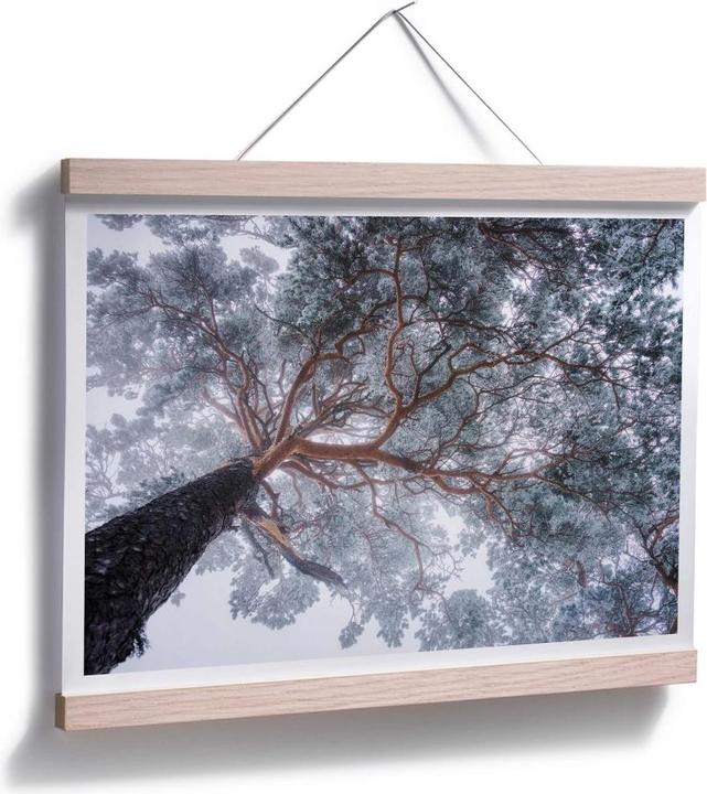 Immagine prodotto Trenddeko Albero in inverno (100 x 80 cm)