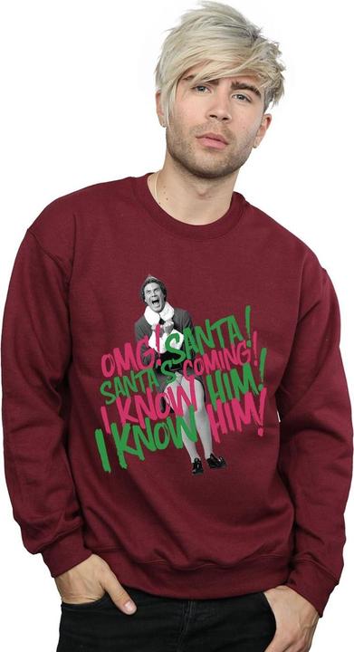 Image du produit Elf - Sweat SANTA'S COMING - Homme (L)
