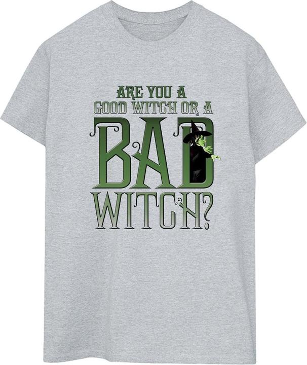 Actual product image Wizard Of Oz Womens/Ladies Wicked Bad Witch Boyfriend T-Shirt (3XL)