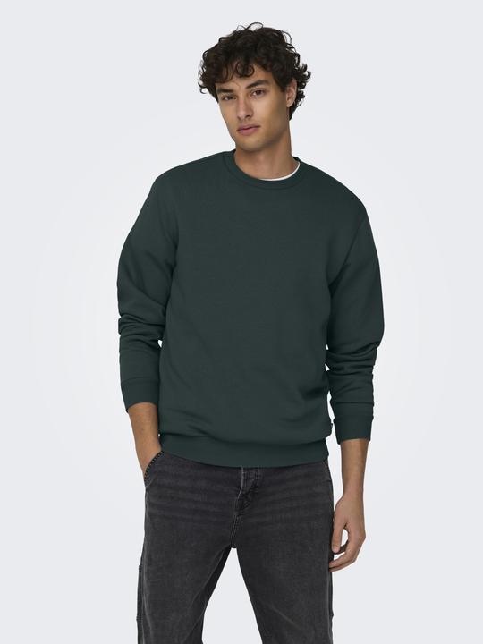 Produktbild Only & Sons Onsceres Crew Neck Noos (XL)