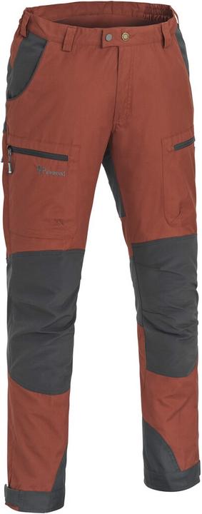 Actual product image Pinewood Caribou TC (52)