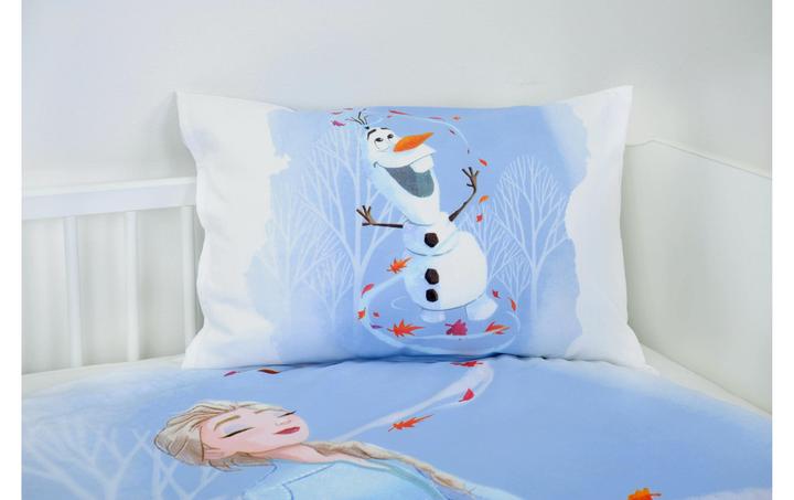 Image du produit Herding La reine des glaces de Disney