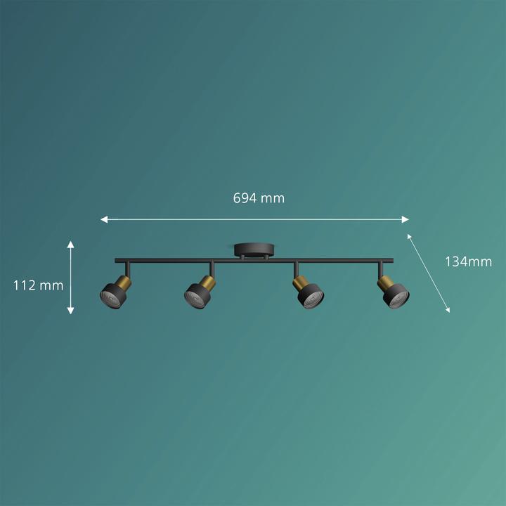 Actual product image Philips Conduit (GU10)