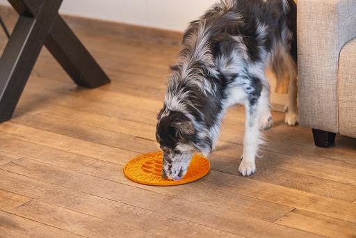 Actual product image Beeztees Sunflower lick mat