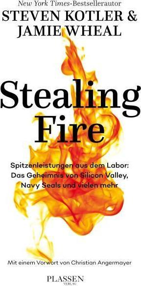 Image du produit Voler le feu (Allemand, Jamie Wheal, Steven Kotler, 2018)