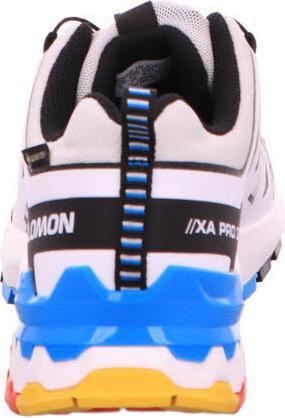 Actual product image Salomon Outdoor shoe XA PRO 3D V9 GTX W Luna (37.5)