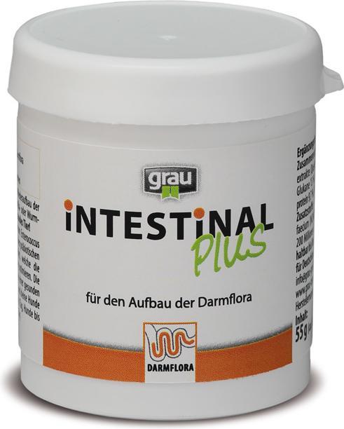 Produktbild Grau Hunde-Nahrungsergänzung Health Intestinal Plus, 60 Stück (Adult, 1 Stk., 88 g)