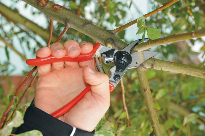Produktbild Felco Gartenschere 6