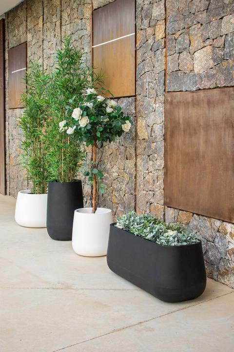 Actual product image Newgarden Camelia 60 (59 cm)