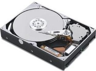 Actual product image Lenovo HDD ASM HDD 320G 7200 7mm HGST (0.32 TB, 3.5")