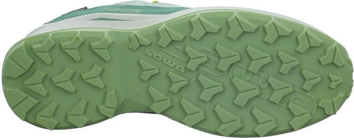 Produktbild Lowa Maddox Pro GTX LO (36)