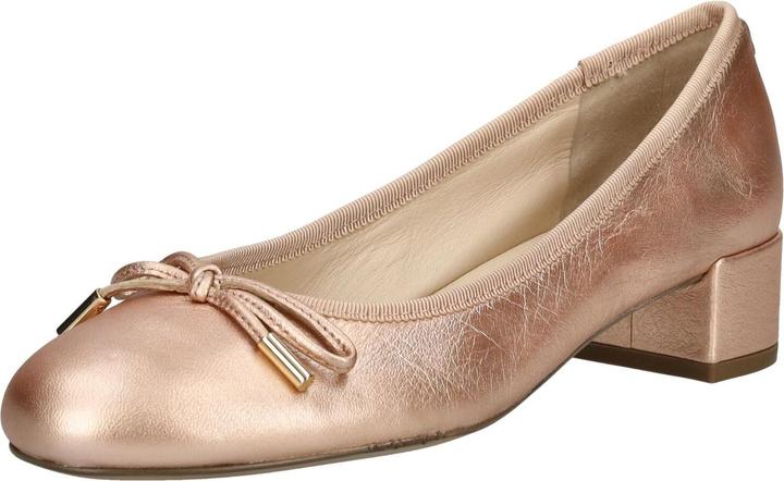 Högl Pumps (38)