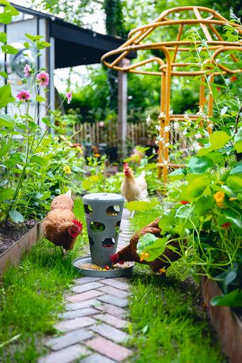 Actual product image Beeztees Feeding Station Chickens Feeding Tower, Grey