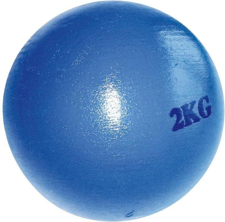 Actual product image Tanga Sports Throwing weights (2000 g)