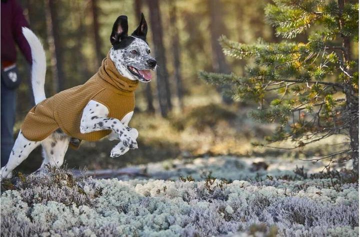 Immagine prodotto Hurtta Cappotto invernale riscaldante Midlayer ECO, 35, senape (35, Cappotto per cani)