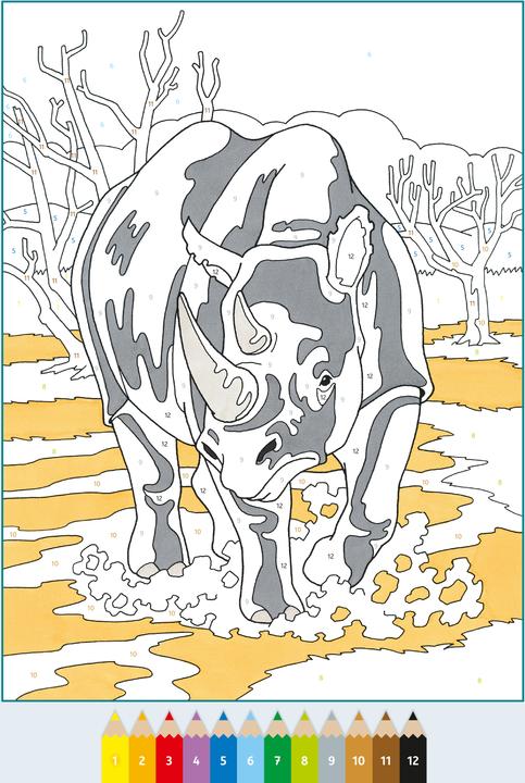 Actual product image Ravensburger Album de colouriage painting by numbers