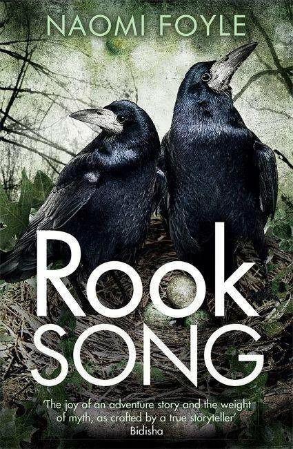 Produktbild Rook Song (Englisch, Naomi Foyle, 2016)