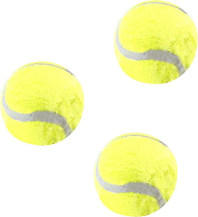 Actual product image Top ten Tennis balls, game balls, set of 3
