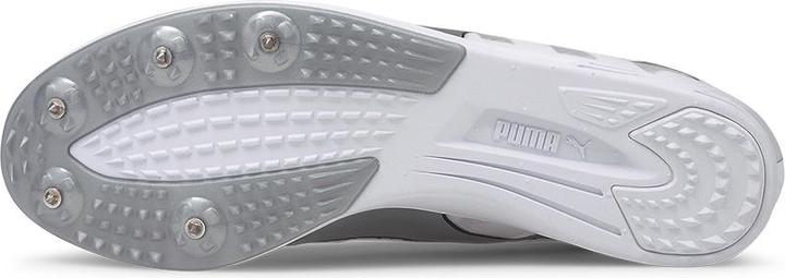 Produktbild Puma Nagelschuh Evospeed Distance 9 Men (44)