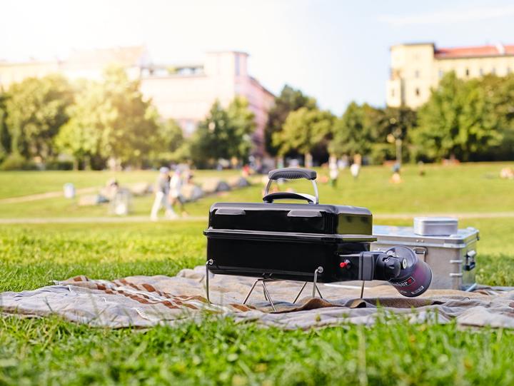 Productafbeelding Weber Go-Anywhere (1.90 kW)