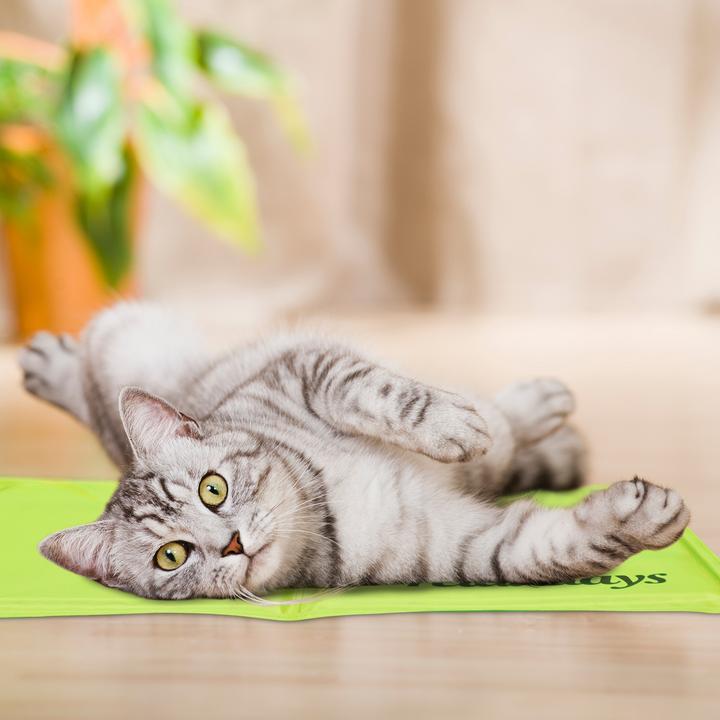 Immagine prodotto Relaxdays Tappetino refrigerante, cane (Cane)
