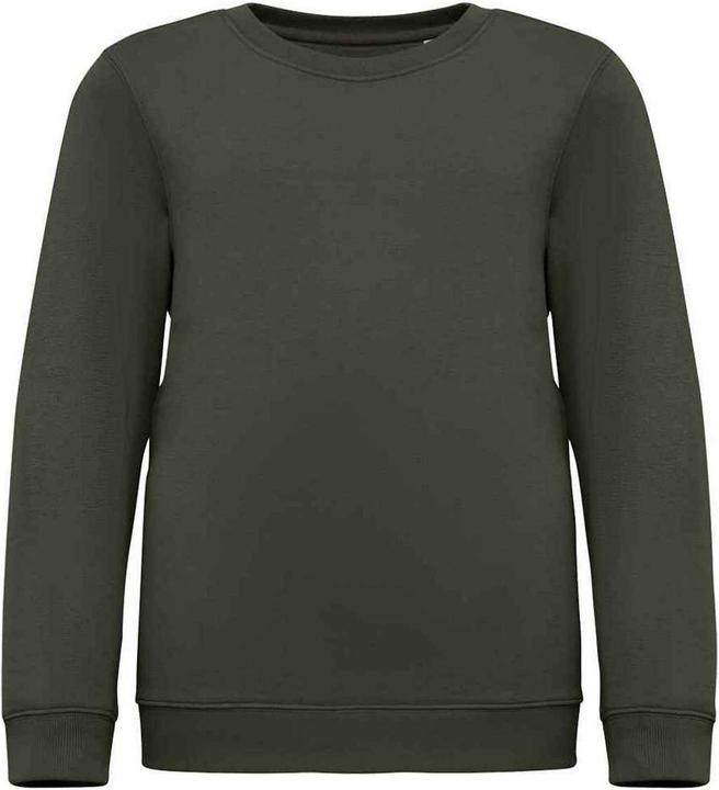 Actual product image Native Spirit Childrens/Kids Sweatshirt (110, 116, 115 A)