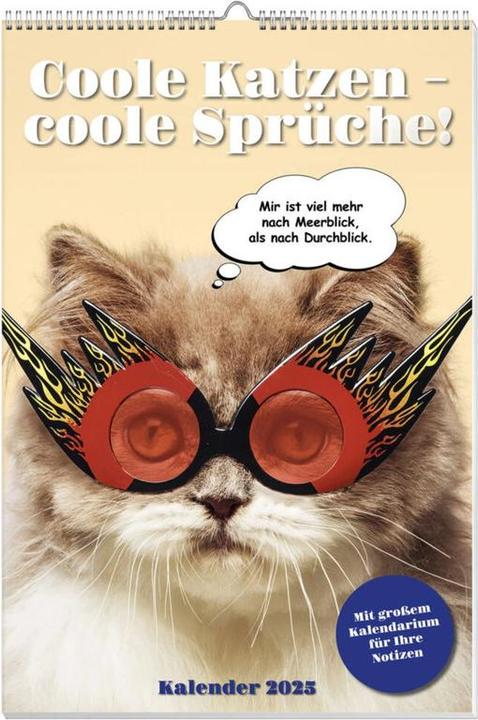 Image du produit Calendrier poster chats cools 2025 (Non contraignant, Allemand)