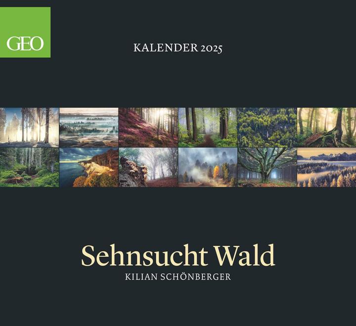 Image du produit Neumann GEO - Sehnsucht Wald Wandkalender 2025 - Calendrier des paysages forestiers impressionnants (Couverture rigide, Allemand)