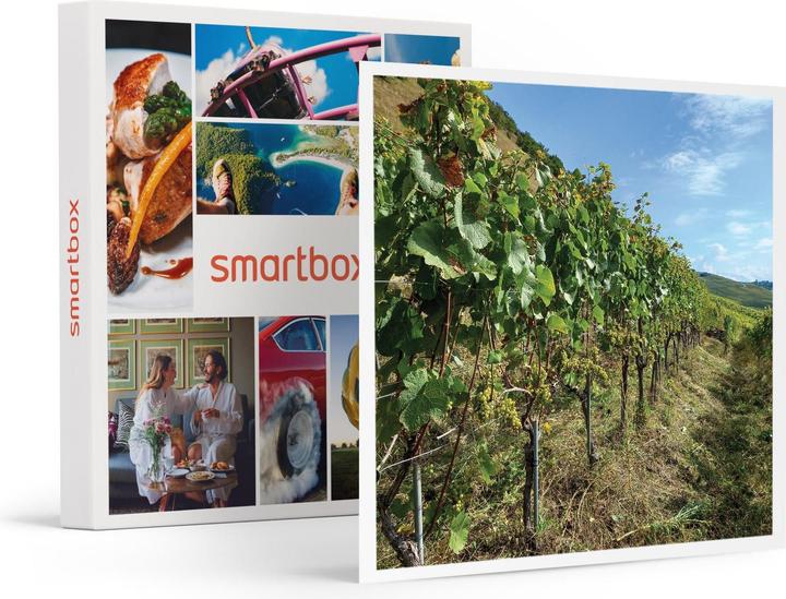 Immagine prodotto Smartbox Degustazione di vini in duo con una tavola da condividere e una passeggiata tra i vigneti vicino a (2 pers.)