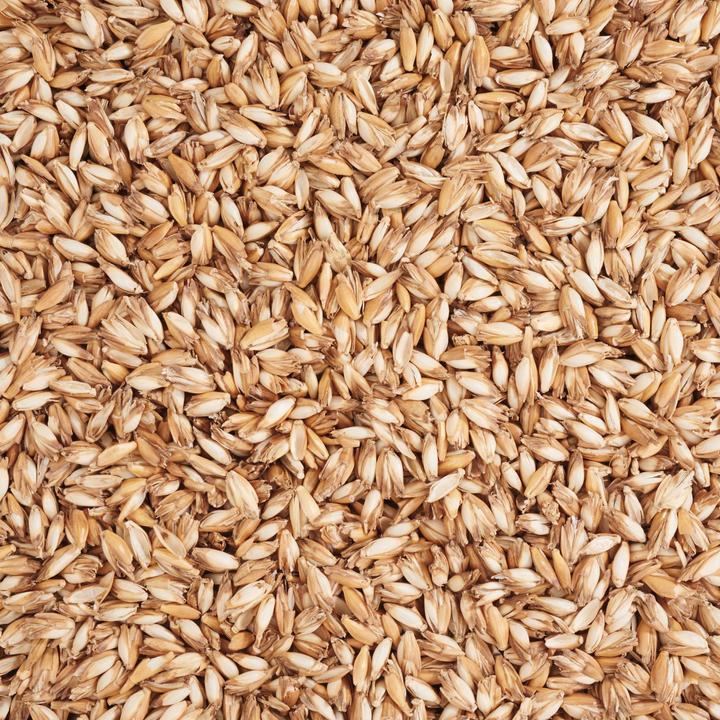 Produktbild VBS Dinkelspreu, Füllmaterial, 250g (Beige)