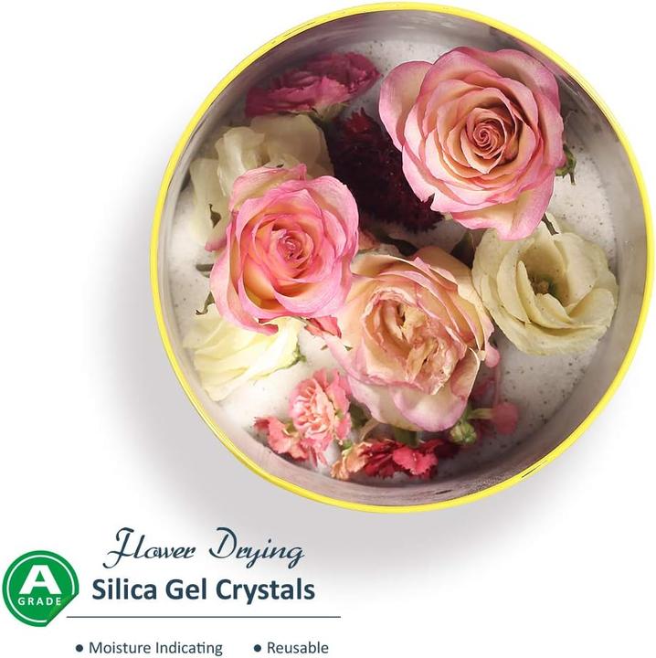 Actual product image Wisedry Silica gel